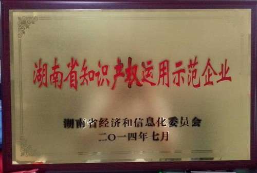 湖南省知识产权运用示范企业